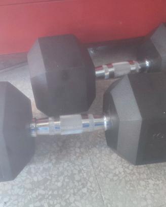 manubri palestra 16 kg