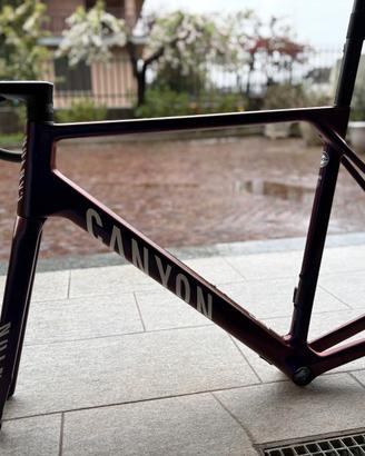 Ultimate CFR Disc Frame and Brake Kit 2024 Framese