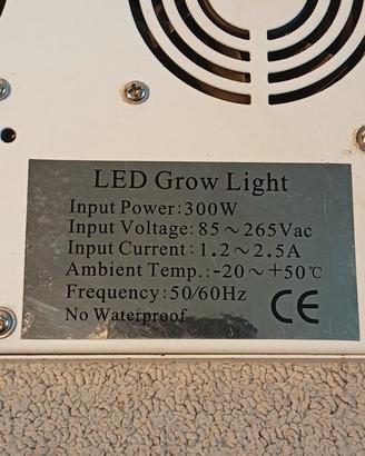 lampada crescita piante