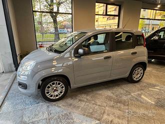 Fiat Panda 1.2 Lounge 69cv