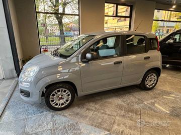 Fiat Panda 1.2 Lounge 69cv