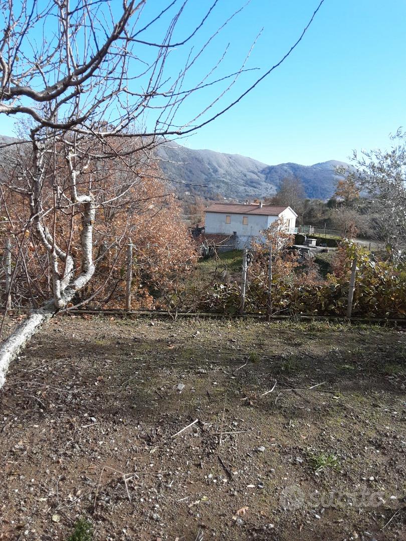 Casa in campagna più terreno e bosco - Vista 5