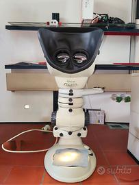 Visore Stereoscopico / Stereomicroscopio Vision En