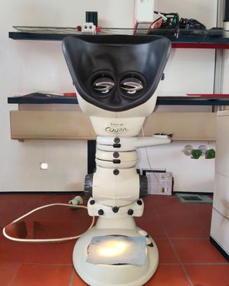 Visore Stereoscopico / Stereomicroscopio Vision En