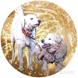 Pastore Abruzzese Aborigeno