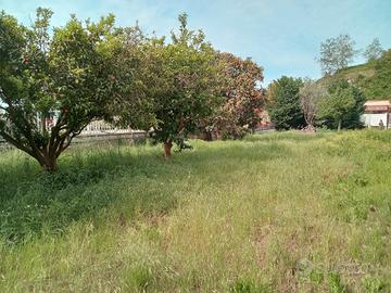 Pianura Via Vicinale Torciolano Rif.131T