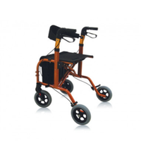 Deambulatore 2 in 1 CITY Partner in ottime condiz