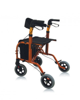 Deambulatore 2 in 1 CITY Partner in ottime condiz