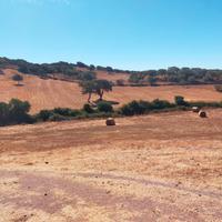 Terreno agricolo pressi Monte Minerva