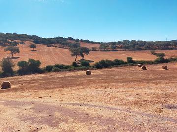 Terreno agricolo pressi Monte Minerva