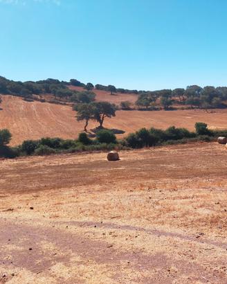 Terreno agricolo pressi Monte Minerva