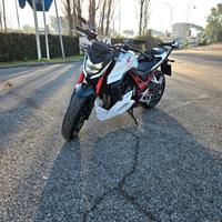 Honda hornet 750