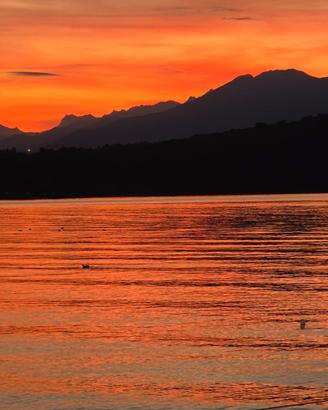 Roulotte stanziale sul Lago di Viverone  