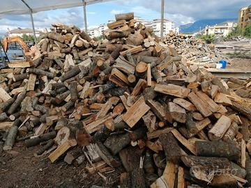 legna da ardere secca 