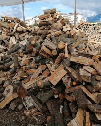 legna da ardere secca 