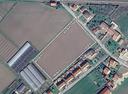 terreno-agricolo-montagnana-cod-rif-m142vcg-