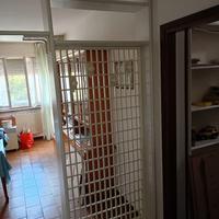 parete divisoria e libreria