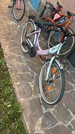 Bicicletta da donna Gloria HI240 CLB