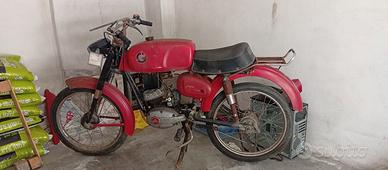 motorino 50cc