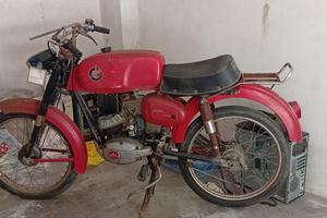 motorino 50cc