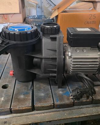 Pompa per depurazione piscina Hp 1.00 revisionata