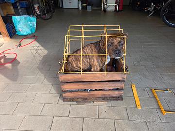TRASPORTINO X CANI TAGLIA MEDIO PICCOLA