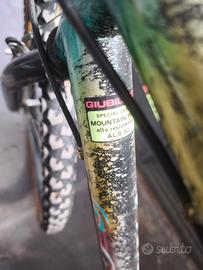 MTB CON PORTATA FINO A 120 KG