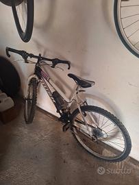 Bicicletta Mtb
