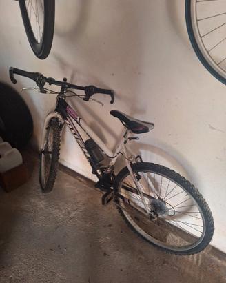 Bicicletta Mtb