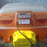 Incubatrice uova automatica AH24

