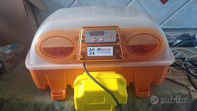 Incubatrice uova automatica AH24

