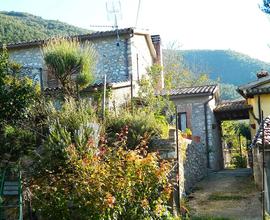 Doppia abitazione con giardino interno - Bazzano