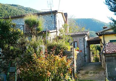 Doppia abitazione con giardino interno - Bazzano