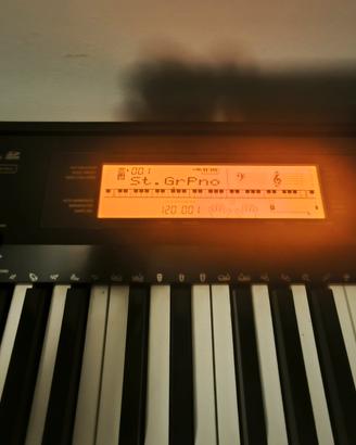 CASIO CDP 230 R