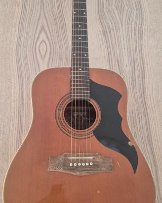 chitarra acustica eko ranger vintage