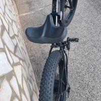 Bicicletta Elettrica 