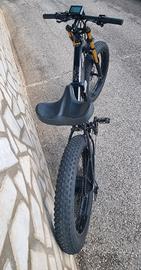 Bicicletta Elettrica 