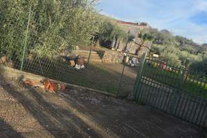 Terreno con casa rurale