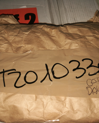 Catena TRIUMPH per daytona