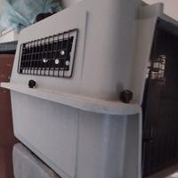 cuccia per cani, nuova