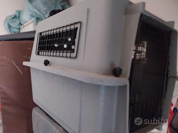 cuccia per cani, nuova