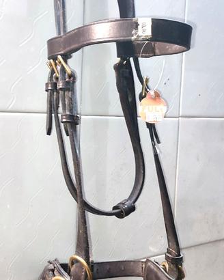 CAVEZZONE DA DOMA IN CUOIO CON FIBBIE INOX  FULL