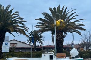 Boston Whaler 17 Montauk - Refit 2026