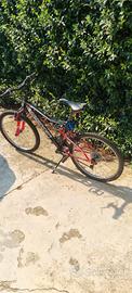 bicicletta 