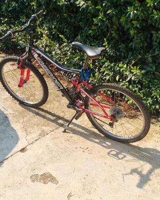 bicicletta 