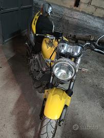 Honda hornet 600