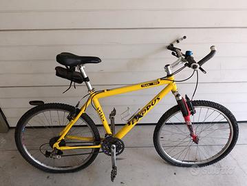 Bici off road Exodus team 750