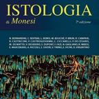 Monesi Istologia, Nuovo