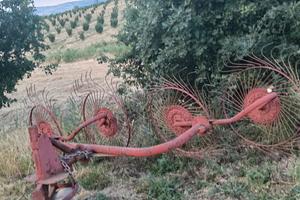 ranghinatore 