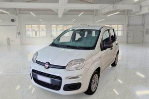 FIAT Panda 1.2 Easy S&S 1200 C.C.